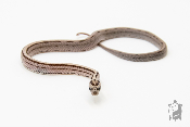 Serpent des blés - Pantherophis guttatus Anery Ligné