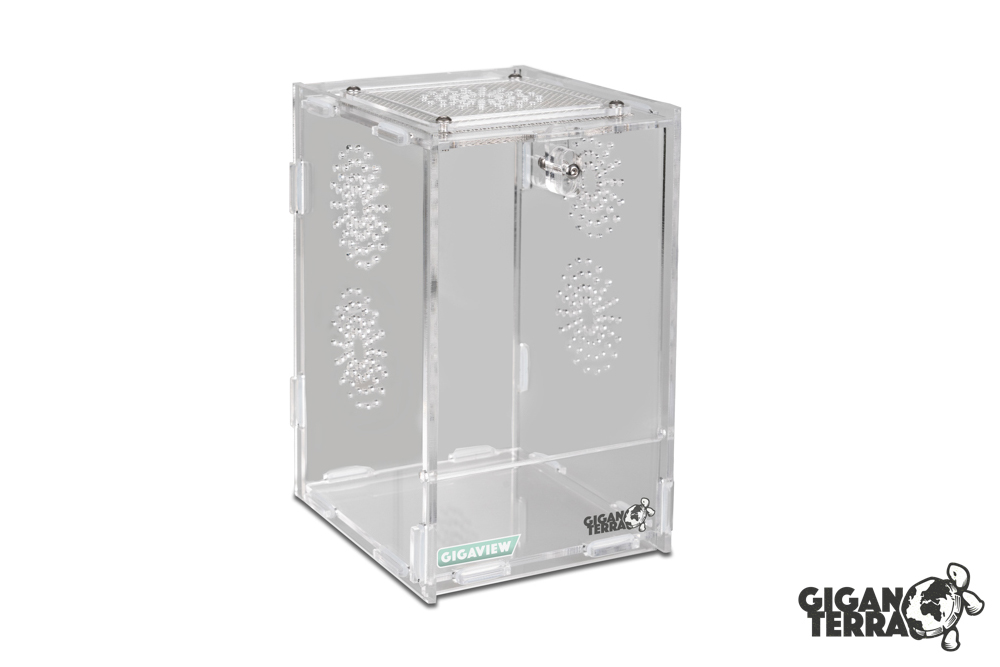 Terrarium en acrylique - Gigaview - 10  11  16,5 cm