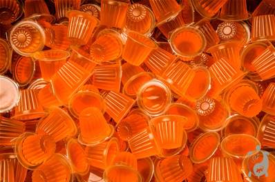 Beetle Jelly Orange
