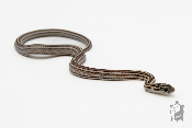 Serpent des blés - Pantherophis guttatus Tessera Anery ligne