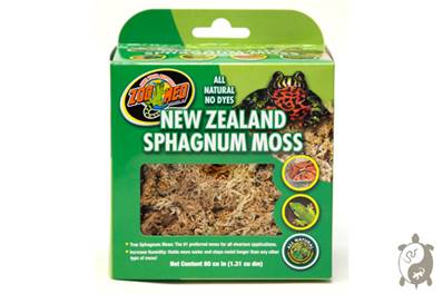 Sphaigne de Nouvelle Zélande