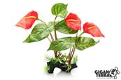 Anthurium Rouge 32cm