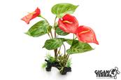 Anthurium Rouge 32cm