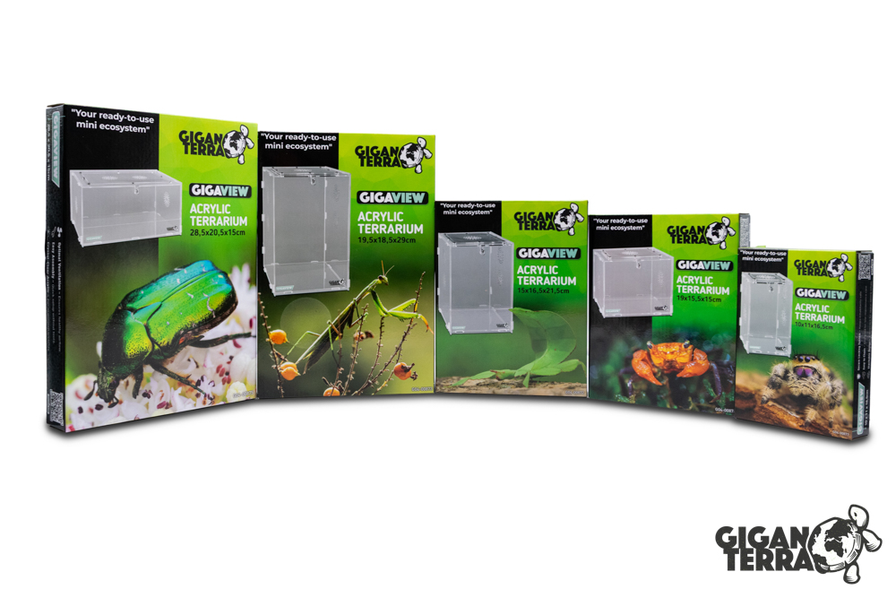 Terrarium en acrylique