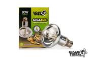 GIGASUN 80W COMPACT