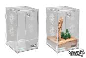 Terrarium en acrylique - Gigaview - 10 × 11 × 16,5 cm
