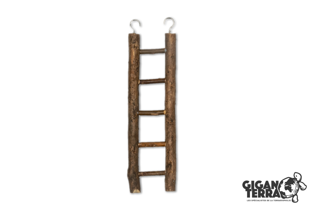 Lana S - Wooden Ladder - 26cm 