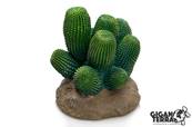 Cactus 13 - 12x12x13cm